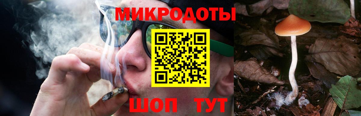 Галлюциногенные грибы мухоморы Усинск